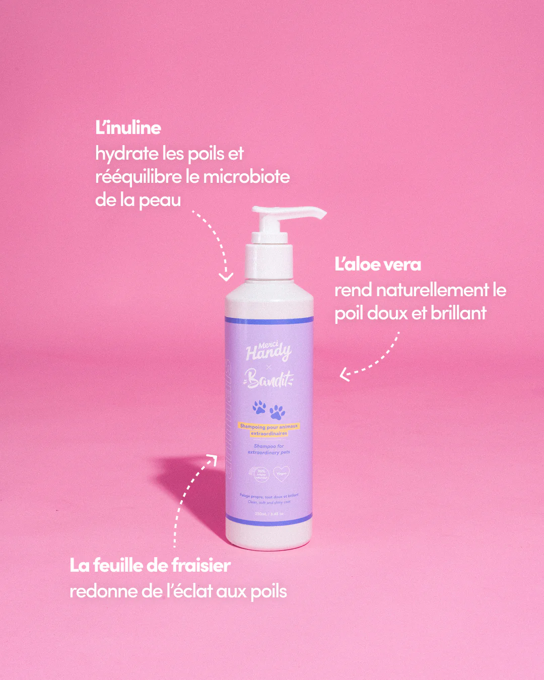 Shampoing Animaux x Bandit - Image 3