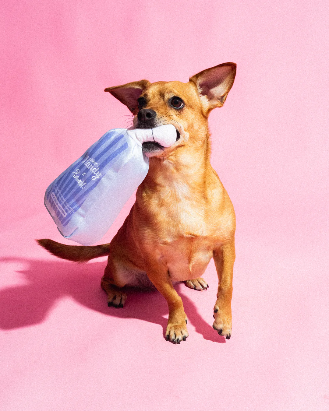 Master Pack Bandit : Shampoing + Peluches - Image 4