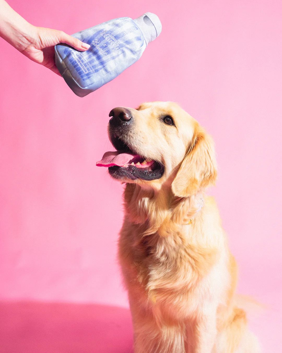 Peluche Gel x Bandit - Image 4