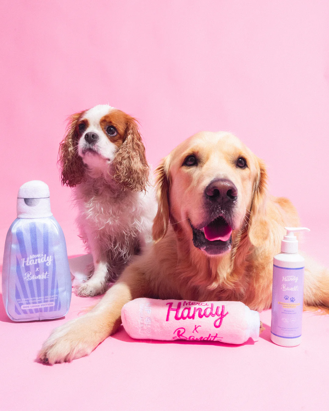 Shampoing Animaux x Bandit - Image 8