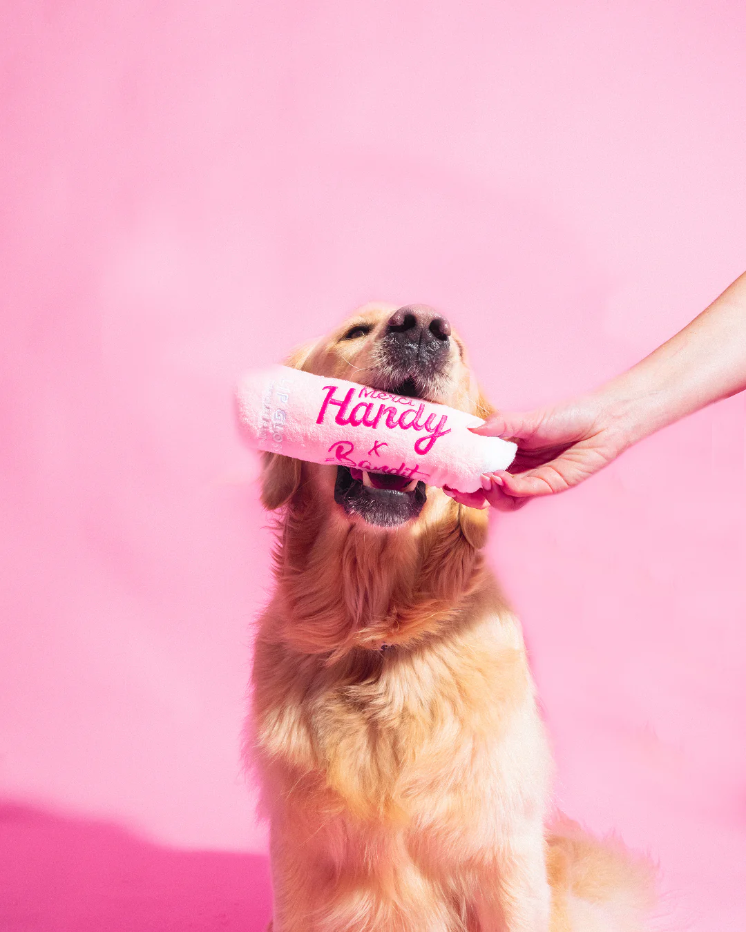 Master Pack Bandit : Shampoing + Peluches - Image 6