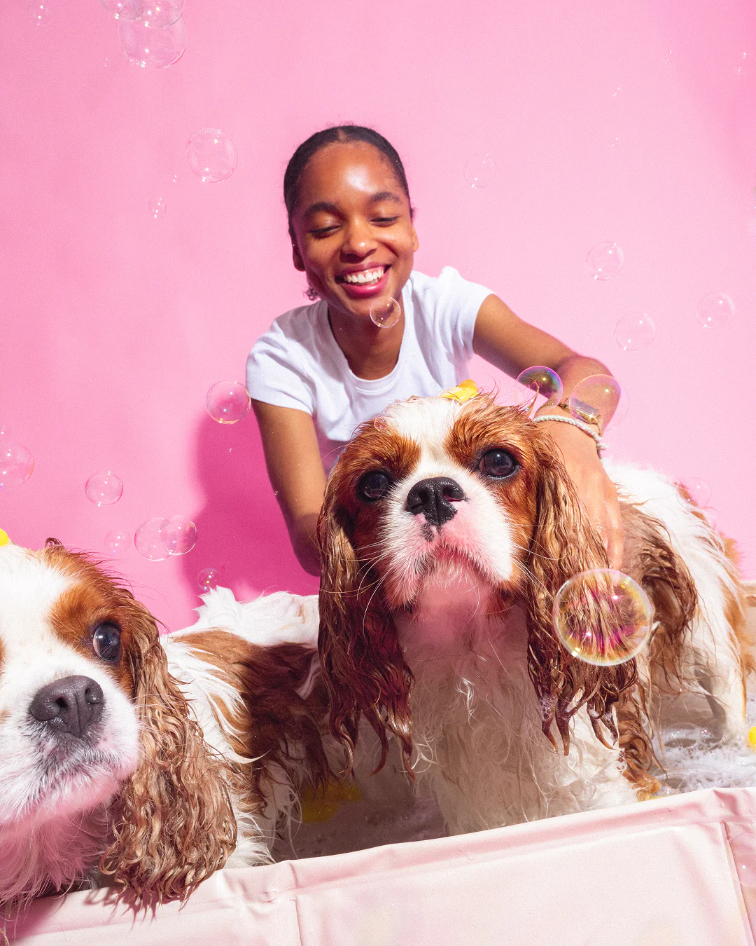 Shampoing Animaux x Bandit - Image 4